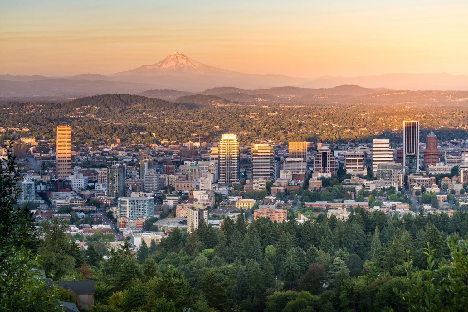 Portland Loves Cannabis