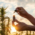 Top 5 Summer Cannabis Picks from The New Amsterdam