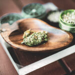 cannabis 101 guide