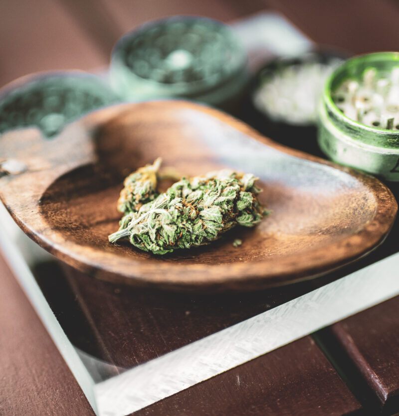 cannabis 101 guide