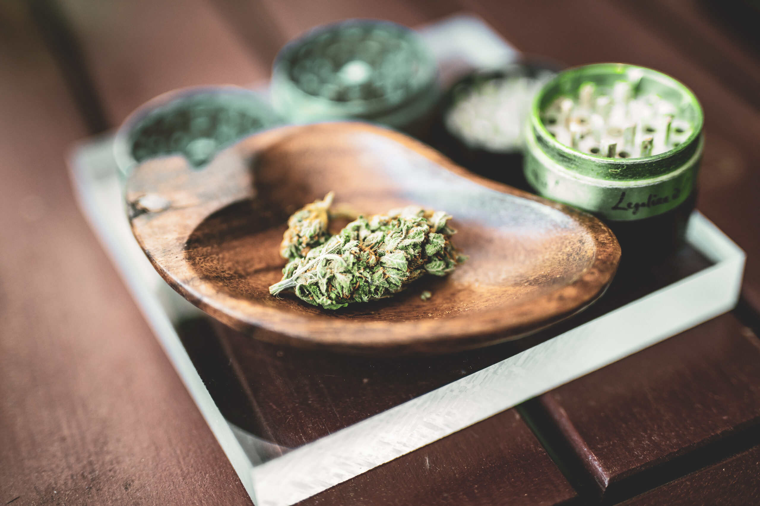 cannabis 101 guide