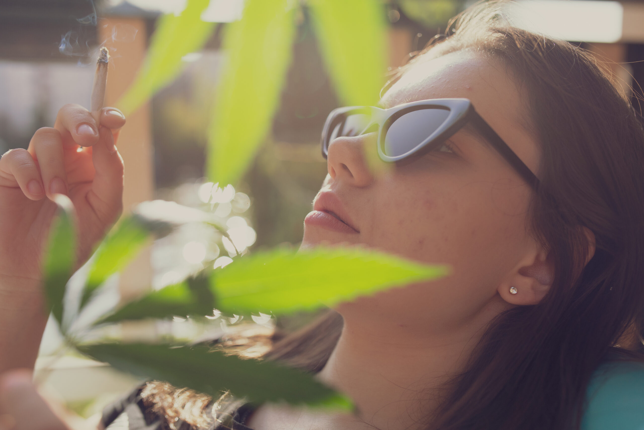 summer cannabis strains