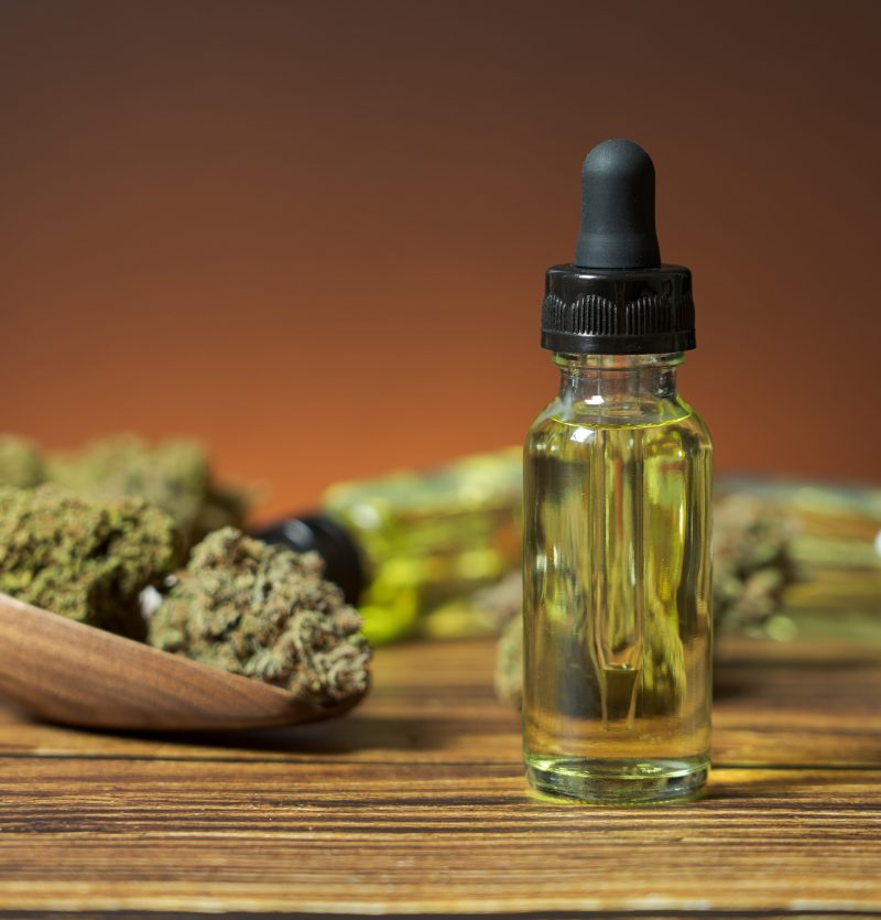 fall cannabis favorites